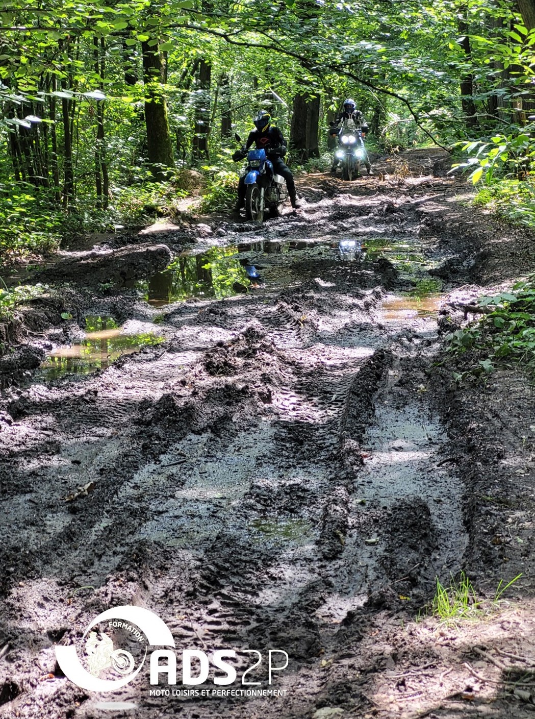 ADS2P Maxi-Trail carrousel